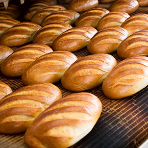 food-manufacturing-9784973